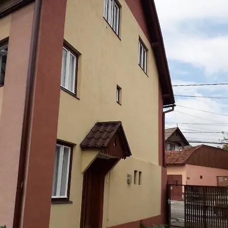 Pensiunea Shalom Sincraiu Exterior photo